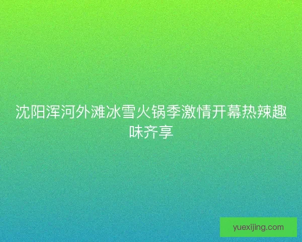 沈阳浑河外滩冰雪火锅季激情开幕热辣趣味齐享